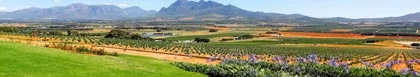 Tulbagh Accommodation, Cape Winelands & Breede Valley