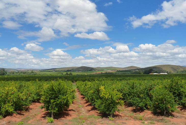 Bonnievale Akkommodasie, Cape Winelands & Breede Valley