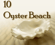 10 Oyster Beach
