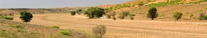 Kanoneiland Accommodation, Kalahari & Diamond Fields