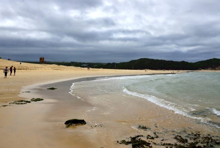 Port Alfred Information