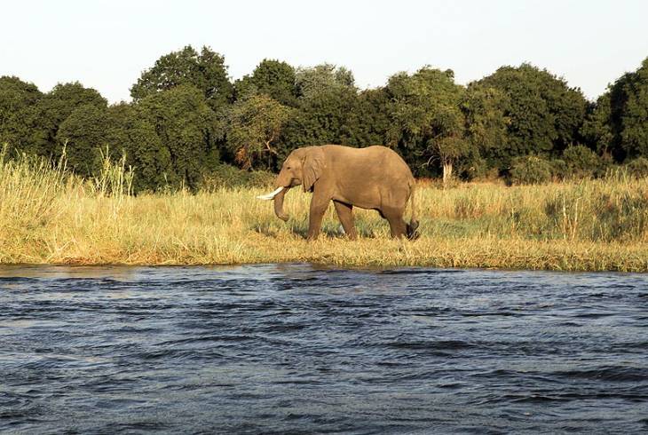 Mana Pools National Park Information